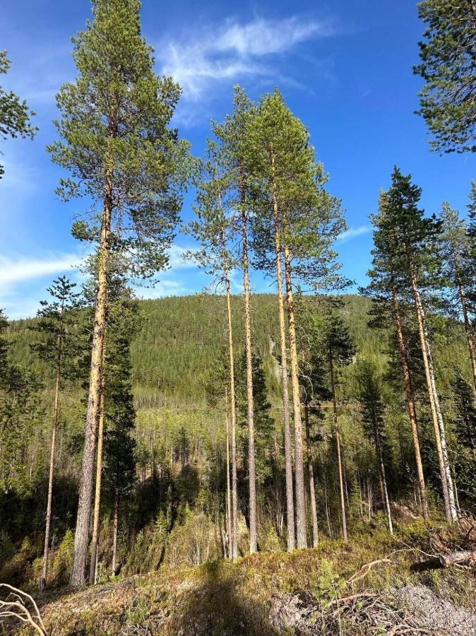 Stuga I Storklinten Harads Luaran gambar